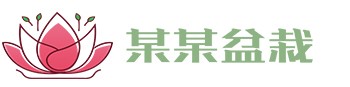 必一運(yùn)動(dòng)·(B-sports)官方網(wǎng)站